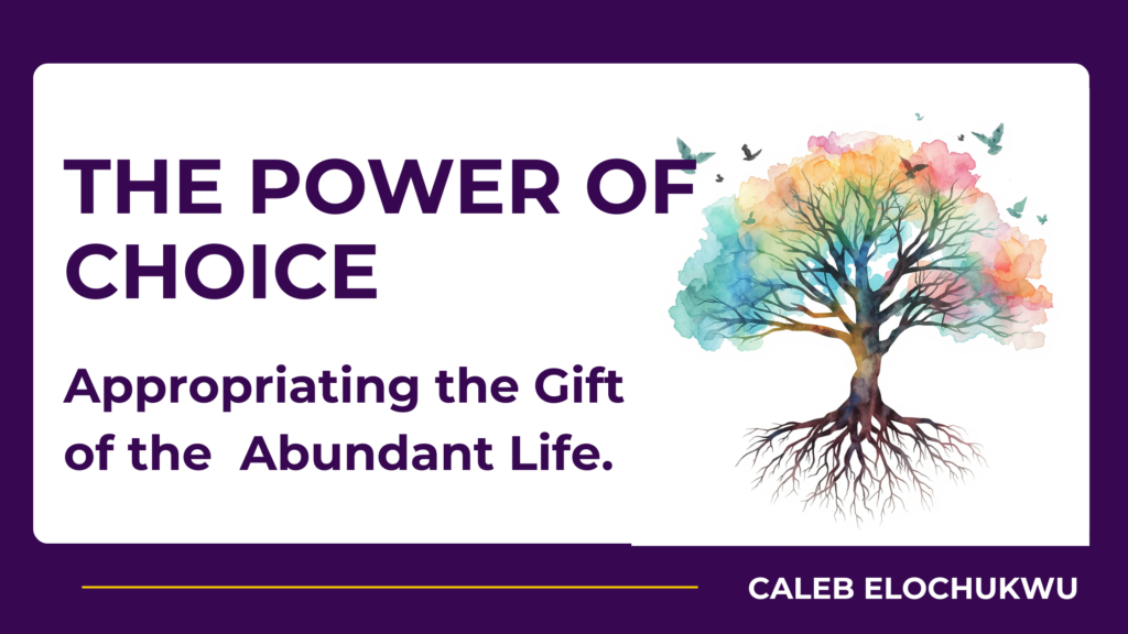 The Power of Choice: Appropriating the Gift of the Abundant Life inspirational blog banner