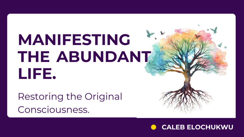 Manifesting the Abundant Life: Restoring the Original Consciousness. inspirational blog banner (15)