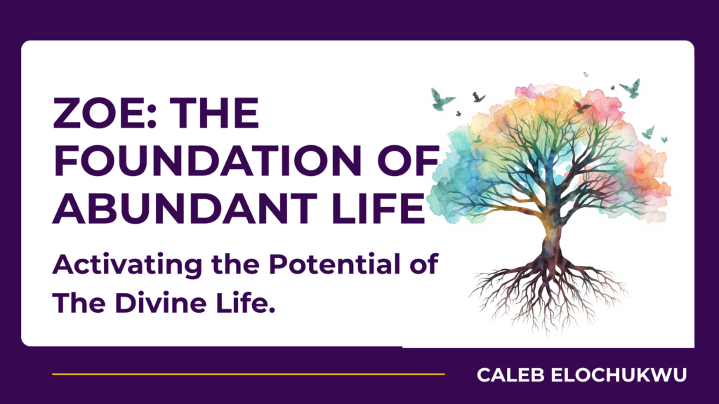 ZOE: The Foundation of The Abundant Life: Activating the Potential of the Divine Life inspirational blog banner (19)